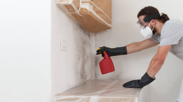 Professional Basement Mold Remediation technician working in Conestoga, PA